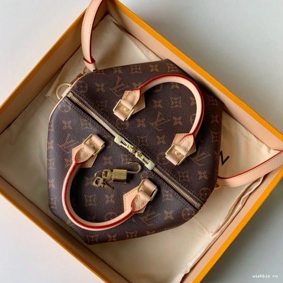 WIS Vuitton BANDOULIERE SPEEDY 25 Louis 0205